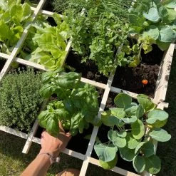 Carré Potager En Bois 90 X 90cm -Outdoor Living Soldes VG90 05