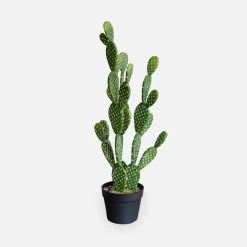 Cactus Artificiel Intérieur 72cm 7 Cactus Artificiel Intérieur 72cm -Outdoor Living Soldes ap72cactus 4460204af8c4aa163cf8d4ff776bd8d2
