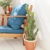 Cactus Artificiel Intérieur 72cm 1 Cactus Artificiel Intérieur 72cm -Outdoor Living Soldes ap72cactus f8be2c1bbac5cdfdafc57f62f7763825