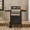 Plancha Gaz 2 Brûleurs Inox 5kW Avec Chariot 2 Plancha Gaz 2 Brûleurs Inox 5kW Avec Chariot -Outdoor Living Soldes ph1002trolley c73451af20bd42ca5bcf63f3f7528165